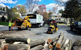 Pest Control for Lawns in Wayne Heights, PA
